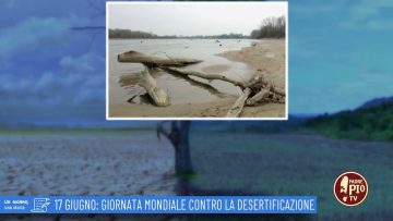 17 Giugno: Giornata Mondiale Contro La Desertificazione (Un Giorno, Una Storia 17 Giugno 2022)