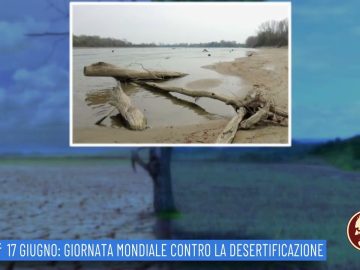 17 Giugno: Giornata Mondiale Contro La Desertificazione (Un Giorno, Una Storia 17 Giugno 2022)