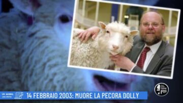 14 Febbraio 2003: Muore La Pecora Dolly ( Un Giorno, Una Storia 14 Febbraio 2022)