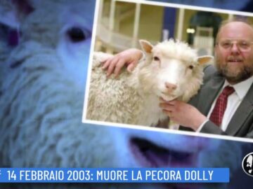 14 Febbraio 2003: Muore La Pecora Dolly ( Un Giorno, Una Storia 14 Febbraio 2022)