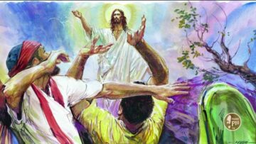 Ascensione Del Signore. (Il Signore Dei Giorni 15 Maggio 2021 – Fra Francesco Dileo) #ascensione