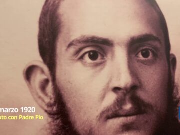 Il Leone Di Simla Battuto Dallagnello Di San Giovanni Rotondo