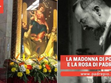 La Madonna Di Pompei E La Rosa Di Padre Pio
