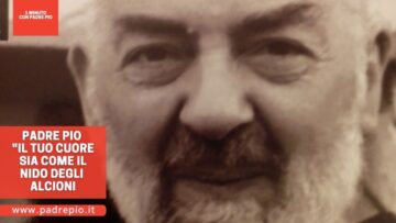 Padre Pio: Il Tuo Cuore Sia Come Il Nido Degli Alcioni