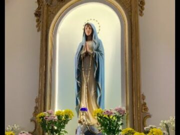 Padre Pio Infuocato Damore Per Maria