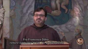 XVI DOMENICA DEL TEMPO ORDINARIO (ANNO C)