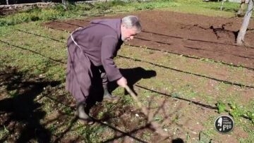 Cura Del Terreno Per Aglio E Cipolla (Un Giorno, Un Fiore 26 Febbraio 2022)