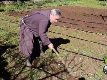 Cura Del Terreno Per Aglio E Cipolla (Un Giorno, Un Fiore 26 Febbraio 2022)