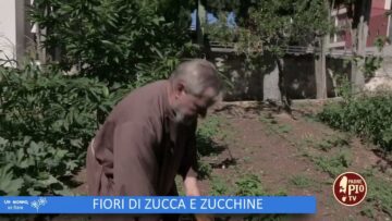 Fiori Di Zucca E Zucchine (Un Giorno Un Fiore 5 Novembre)