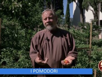 I Pomodori (Un Giorno Un Fiore 12 Novembre )