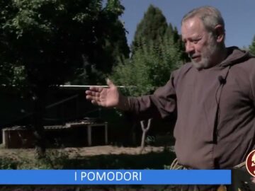 I Pomodori (Un Giorno Un Fiore 15 Ottobre 2022)