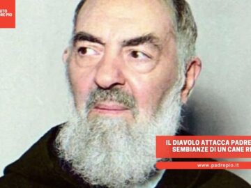 Il Diavolo Attacca Padre Pio Con Le Sembianze Di Un Cane Ringhioso