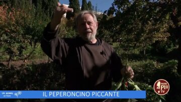Il Peperoncino Piccante (Un Giorno Un Fiore 17 Dicembre)