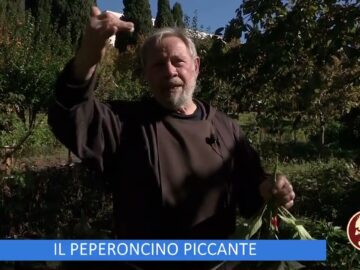 Il Peperoncino Piccante (Un Giorno Un Fiore 17 Dicembre)