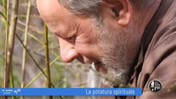 La Potatura Spirituale (Un Giorno, Un Fiore 19 Marzo 2022)