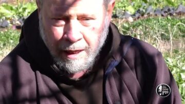 La Scarola (Un Giorno, Un Fiore 5 Marzo 2022)
