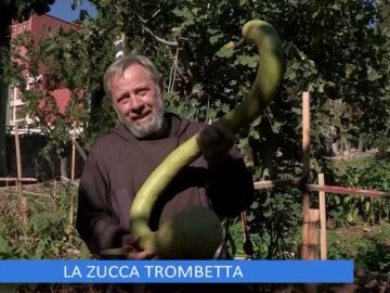 La Zucca Trombetta (Un Giorno Un Fiore 14 Gennaio 2023)