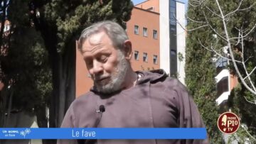 Le Fave (Un Giorno, Un Fiore 30 Aprile 2022)