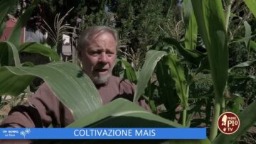 Lorto Del Convento Di San Giovanni Rotondo (Un Giorno Un Fiore 29 Ottobre)