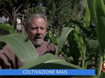 Lorto Del Convento Di San Giovanni Rotondo (Un Giorno Un Fiore 29 Ottobre)