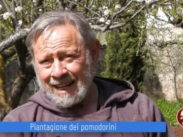 Piantagione Di Pomodori (Un Giorno, Un Fiore 9 Aprile 2022)