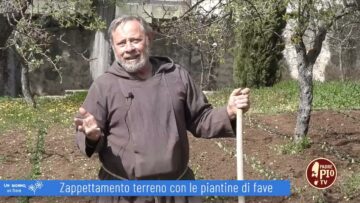 Zappettamento Terreno Con Piante Di Fave (Un Giorno, Un Fiore 23 Aprile 2022)