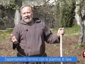 Zappettamento Terreno Con Piante Di Fave (Un Giorno, Un Fiore 23 Aprile 2022)