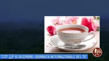 15 Dicembre: Giornata Internazionale Del Te (un Giorno, Una Storia 15 Dicembre 2022)