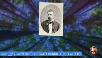 21 Novembre: Giornata Mondiale Dellalbero (Un Giorno Una Storia 21 Novembre)