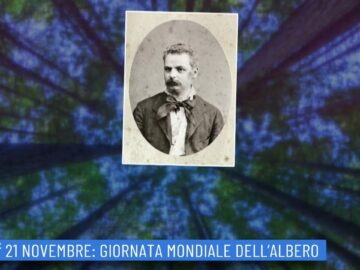 21 Novembre: Giornata Mondiale Dellalbero (Un Giorno Una Storia 21 Novembre)