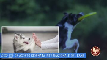 26 Agosto: Giornata Internazionale Del Cane (Un Giorno Una Storia 26 Agosto)