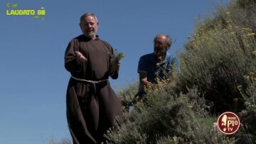 Elicriso E Stregonia (Laudato Sii 18 Dicembre 2022)