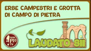Erbe Campestri E Grotta Di Campo Di Pietra (Laudato Sii 17 Aprile 2022)