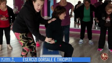 Esercizi Dorsali E Tricipiti (Un Giorno Un Allenamento 10 Gennaio 2023)