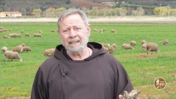 Frutti Di Bosco (Laudato Sii 28 Novembre 2021)