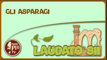 Gli Asparagi (Laudato Sii 15 Maggio 2022)