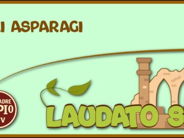 Gli Asparagi (Laudato Sii 15 Maggio 2022)