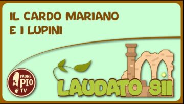 I Lupini (Laudato Sii 1 Maggio 2022)