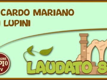 I Lupini (Laudato Sii 1 Maggio 2022)