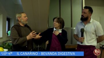 Il Canarino – Bevanda Digestiva (Un Giorno Un Fiore 11 Febbraio)