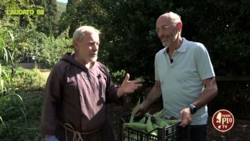 Il Mais (Laudato Sii 20 Novembre 2022)
