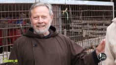 La Pecora Gentile Di Puglia Prima Parte (Laudato Sii 19 Dicembre 2021)