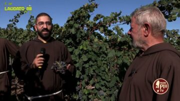 La Vendemmia (Laudato Sii 6 Novembre 2022)