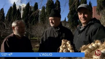 LAglio (Un Giorno Un Fiore 11 Marzo 2023)