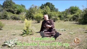 L’uva: Tutti I Benefici E Le Proprietà. Laudato Sii. 10 Ottobre 2021