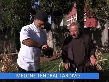 Melone Tendral Tardivo (Un Giorno Un Fiore 4 Febbraio)