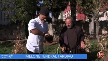 Melone Trendal Tardivo (Un Giorno Un Fiore 25 Febbraio 2023)