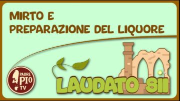 Mirto E Preparazione Del Liquore (Laudato Sii 27 Marzo 2022)