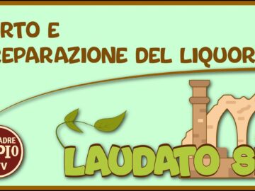 Mirto E Preparazione Del Liquore (Laudato Sii 27 Marzo 2022)