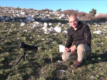 Orchidee Spontanee Del Gargano. Orazio Armillotta Ci Presenta La Neotinea Lactea.